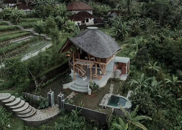 Wiwaka Harmony In Nature *