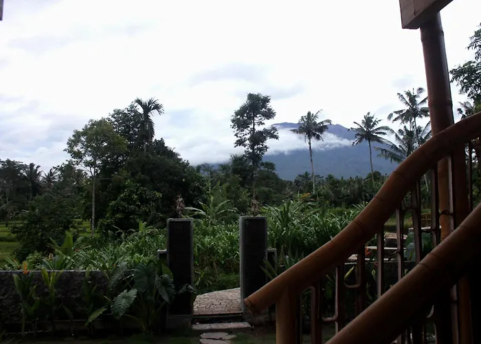 Wiwaka Harmony In Nature *