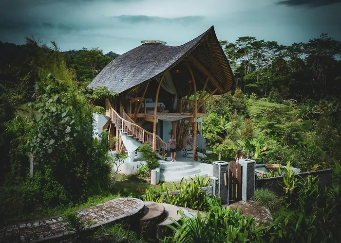 Wiwaka Harmony In Nature